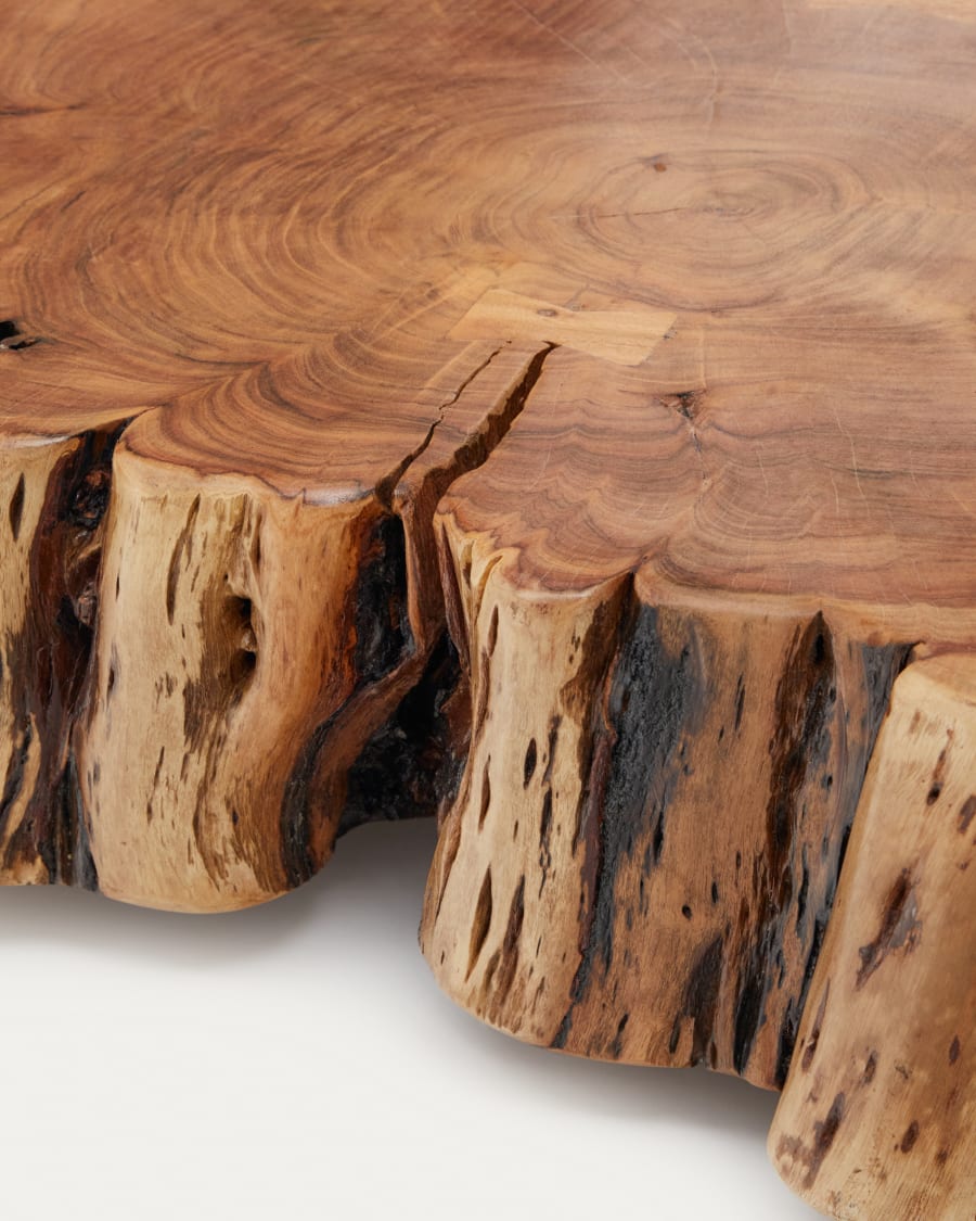 Japandi Root Coffee Table