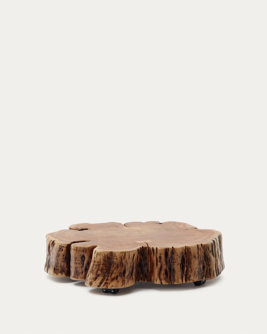 Japandi Root Coffee Table